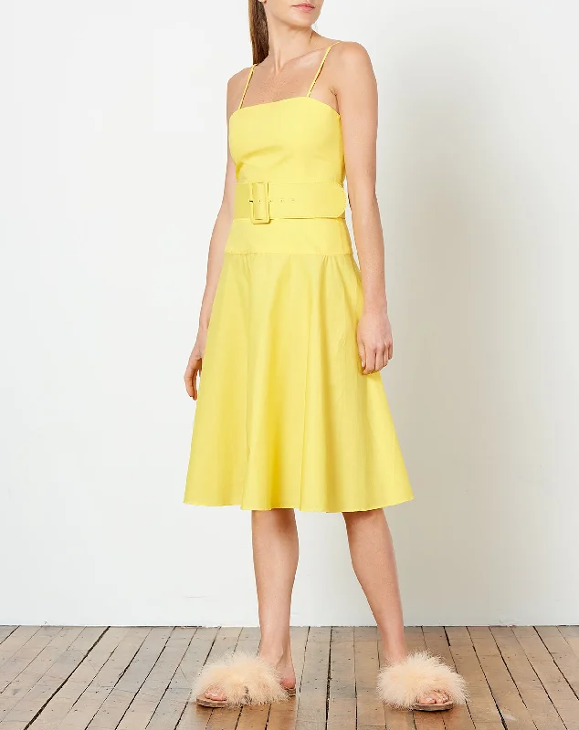 Carter Belted Dress in Yellow
